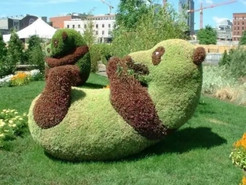 园林景观