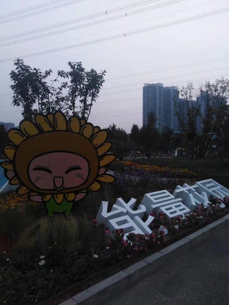 园林景观