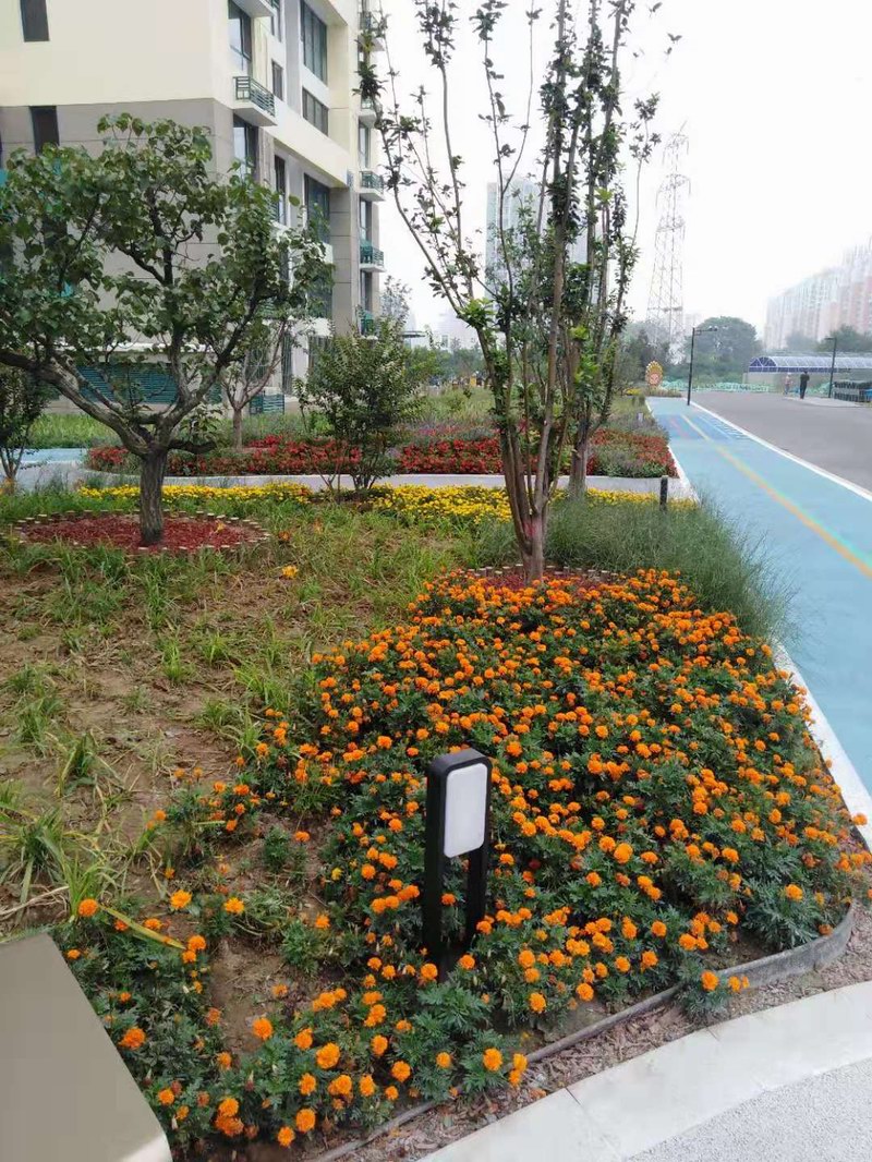 园林景观